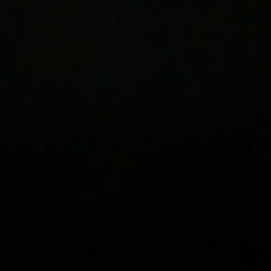 Meet your Posher, Bee